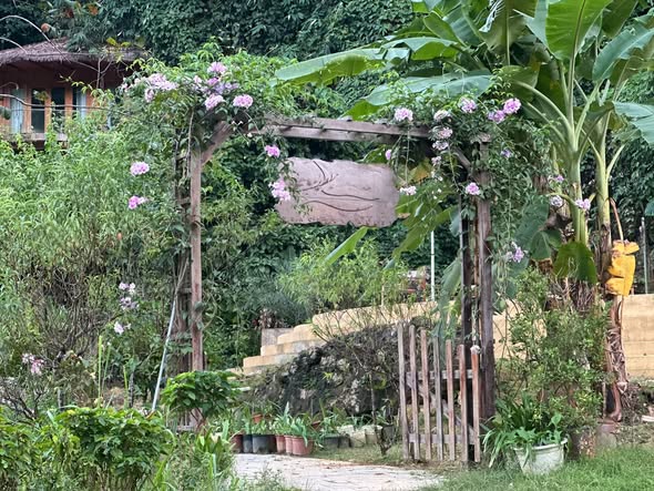 Sen Vàng Retreat